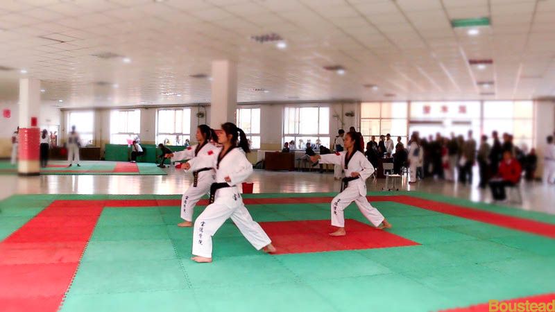 新葡的京学生在2014年天津市大学生跆拳道比赛中获得佳绩