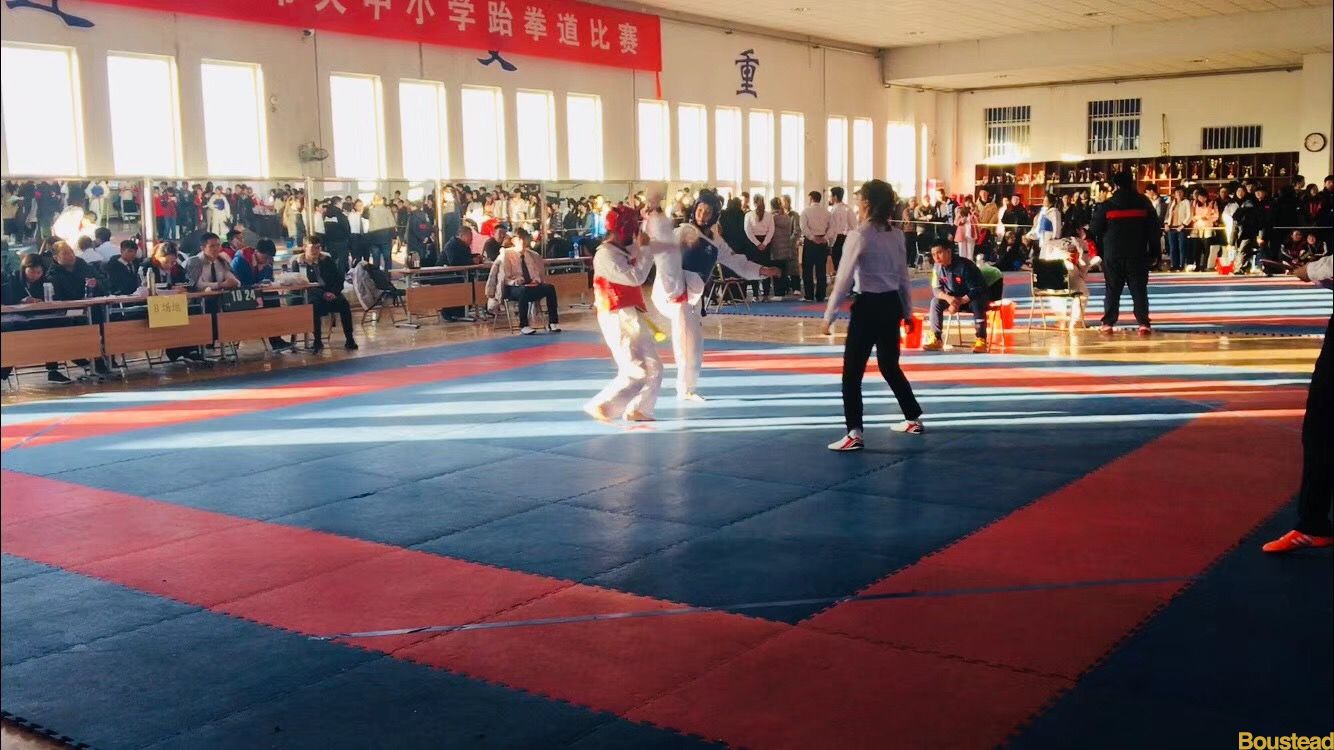 新葡的京跆拳道代表队在2017年天津市大学生跆拳道比赛中再获佳绩