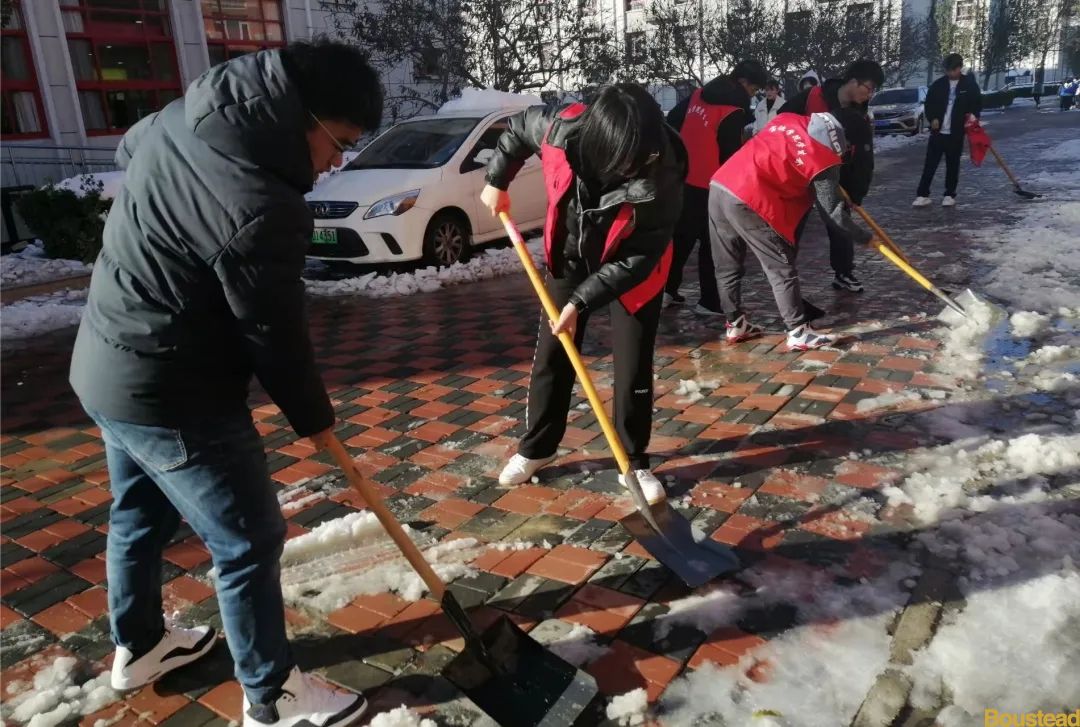先锋办实事 劳动最光荣——新葡的京青年学子积极参与校园扫雪除冰志愿服务活动