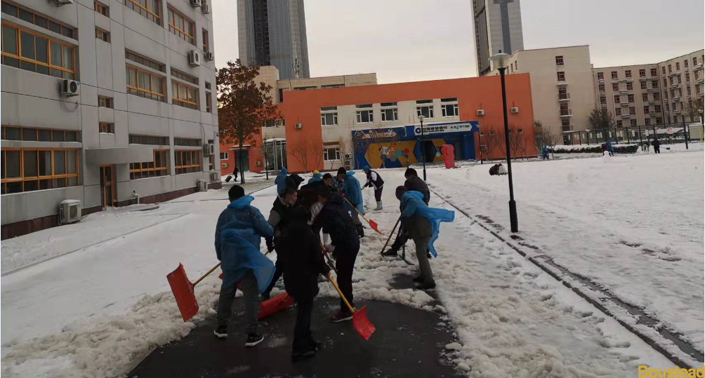 师生齐力 安暖相伴 雪后校园 美丽安详