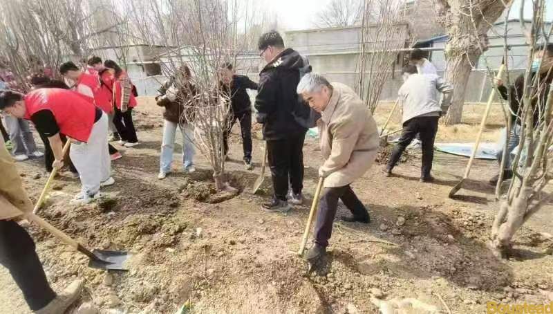 种下希望 收获未来 宝德学院组织开展植树活动