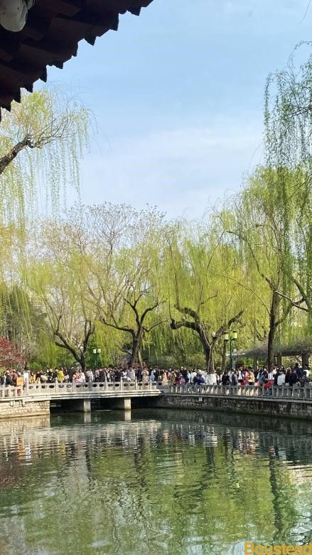 【报道】春日绘色｜“捕捉生活中的小确幸”作品展（三）